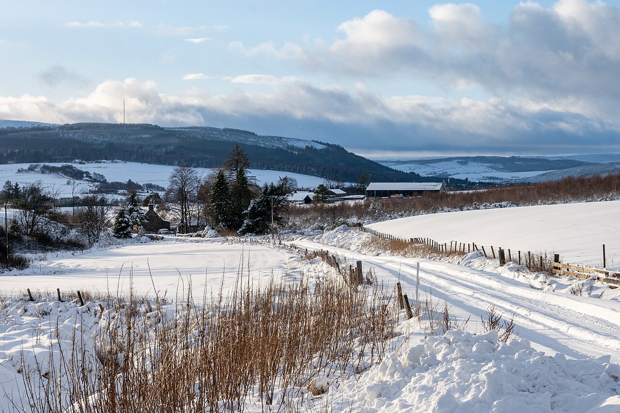 New to Cold Plunge? Explore Fire & Ice Wellness Bristol Today